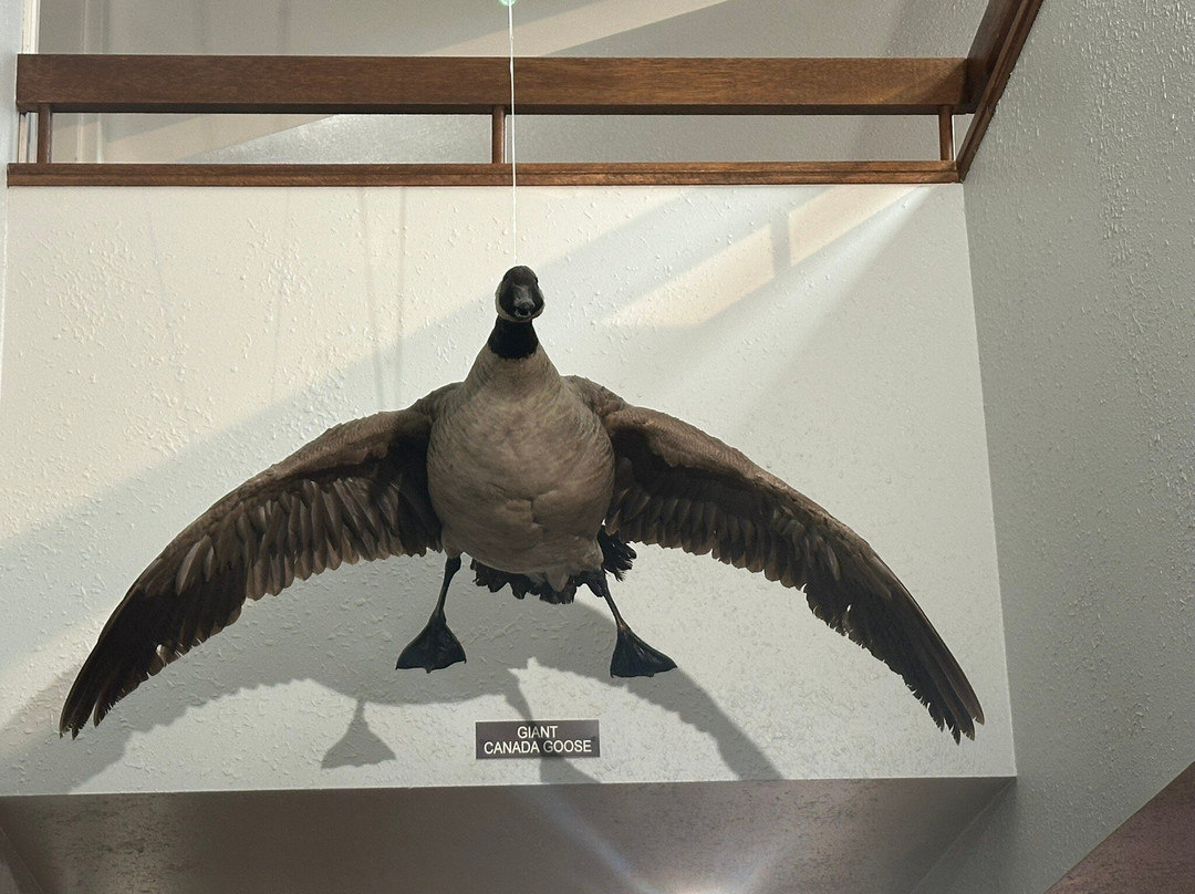 Lime Creek Nature Center-Mason City必去景点