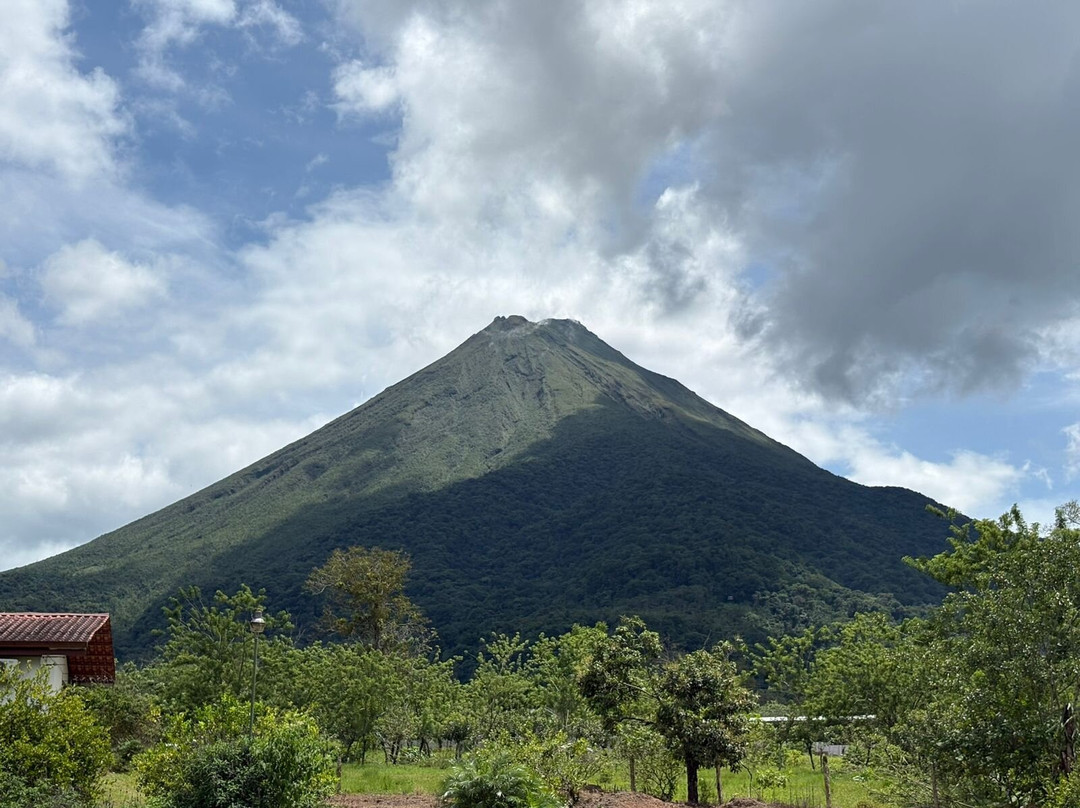 Greenway Nature Day Tours-利蒙港必去景点