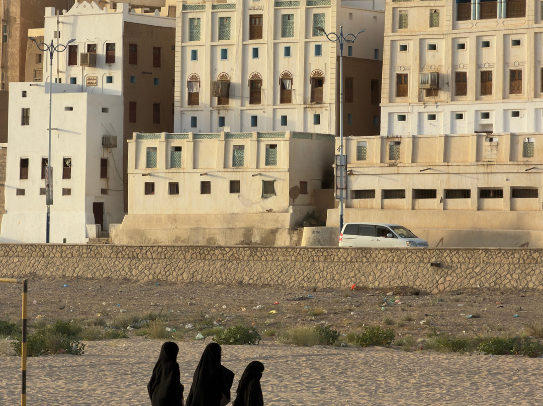 Yemen Horizon Tours & Travel-Seiyun必去景点