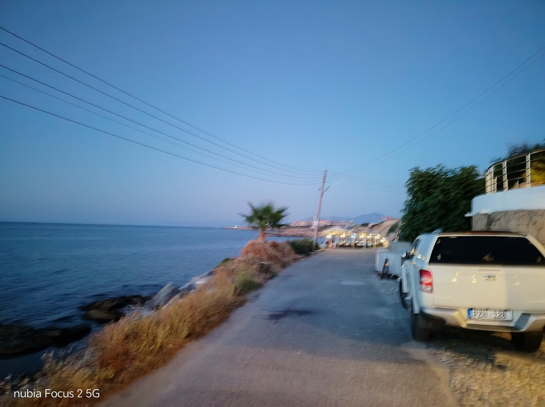 Luxuriant Houses Kyrenia