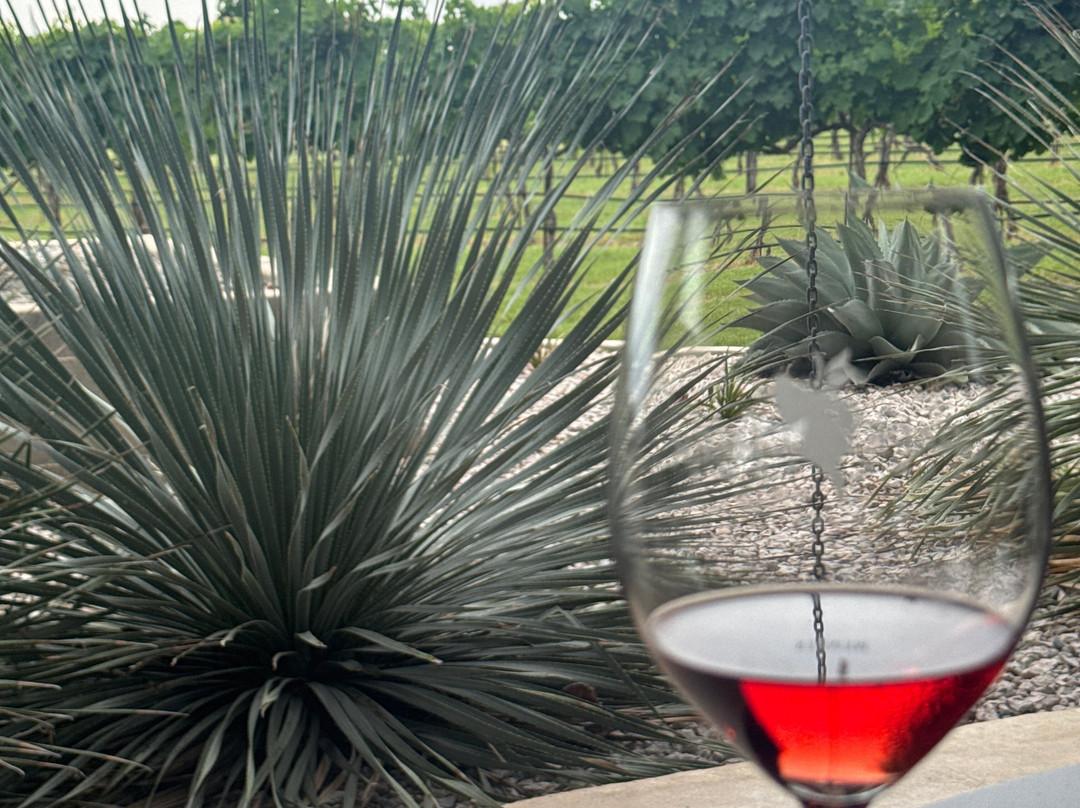 Grape Creek Vineyards Fredericksburg-弗雷德里克斯堡必去景点