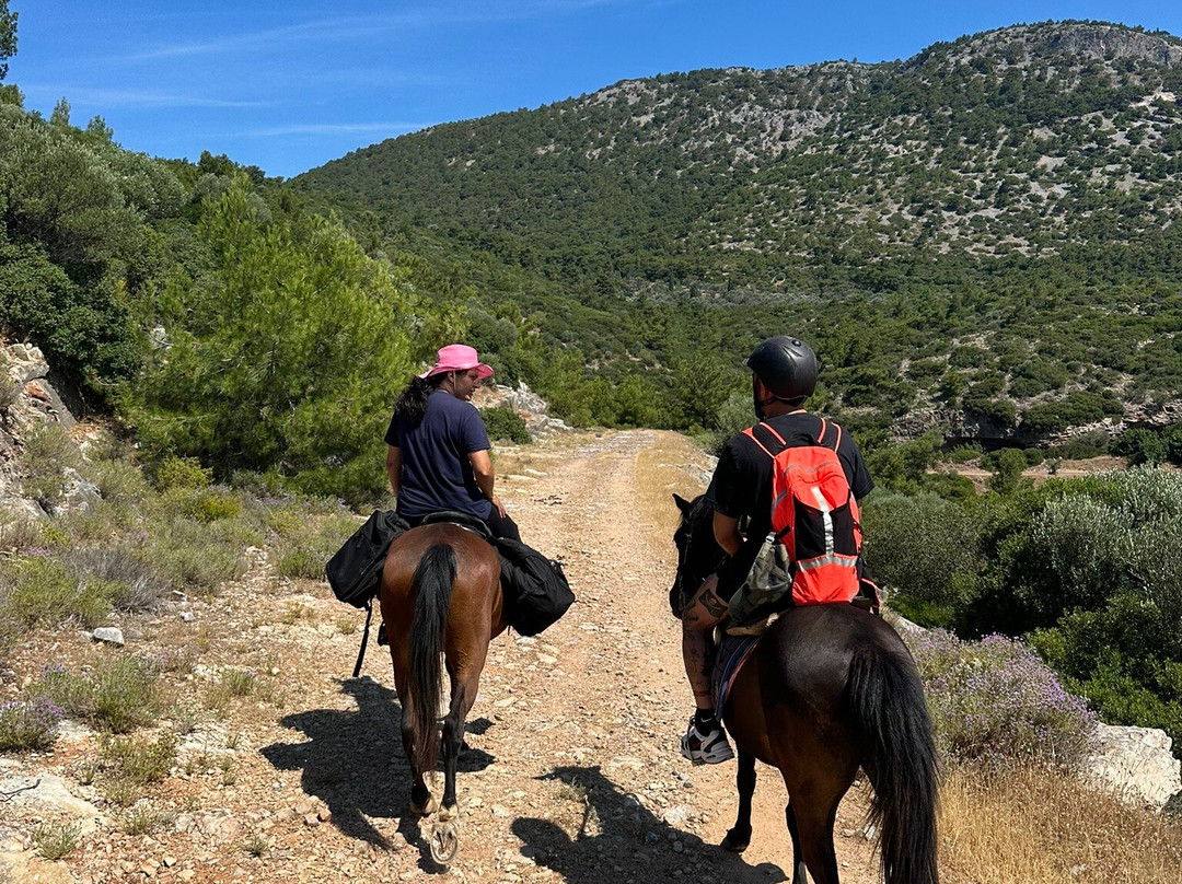 Panouris Ranch-Samos Town必去景点
