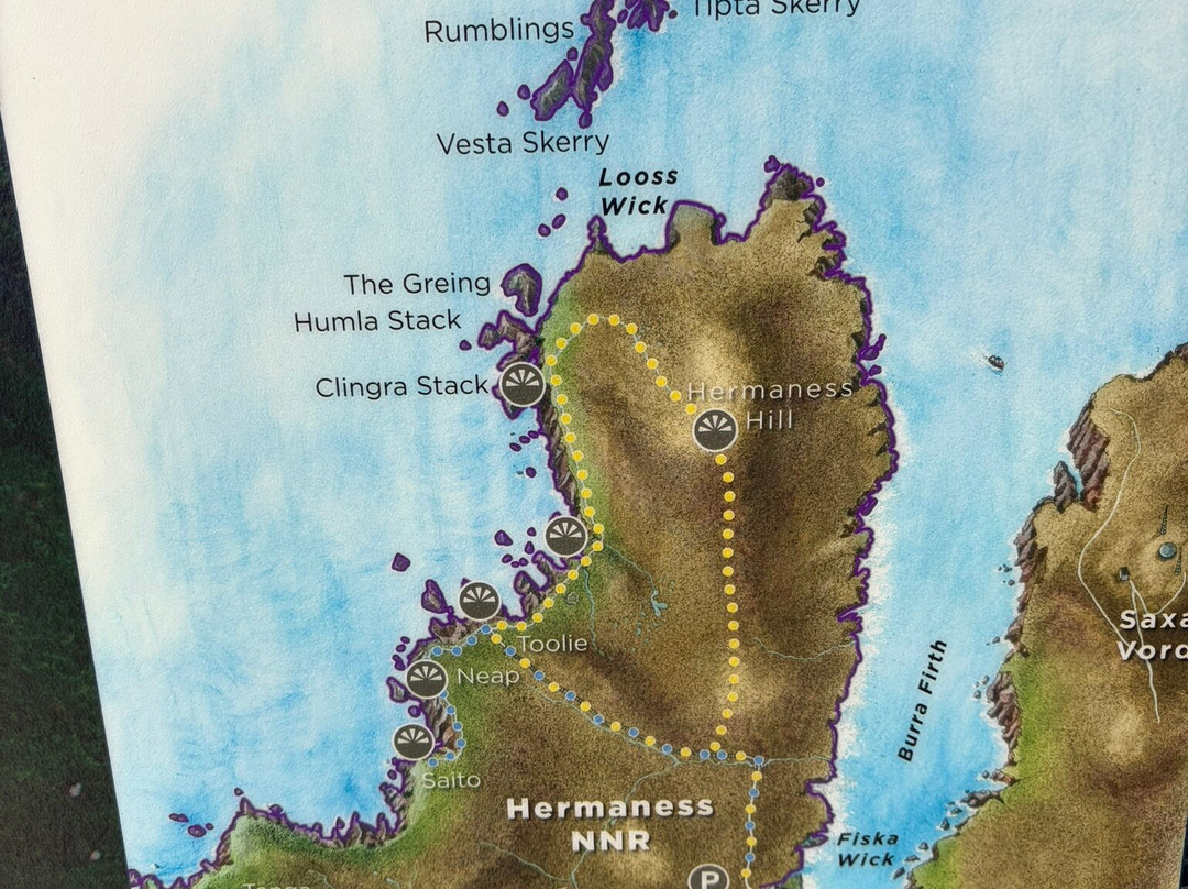 Hermaness National Nature Reserve-Unst必去景点