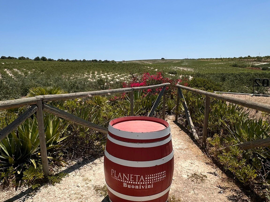 Planeta, Tenuta Buonivini - Noto-诺托必去景点