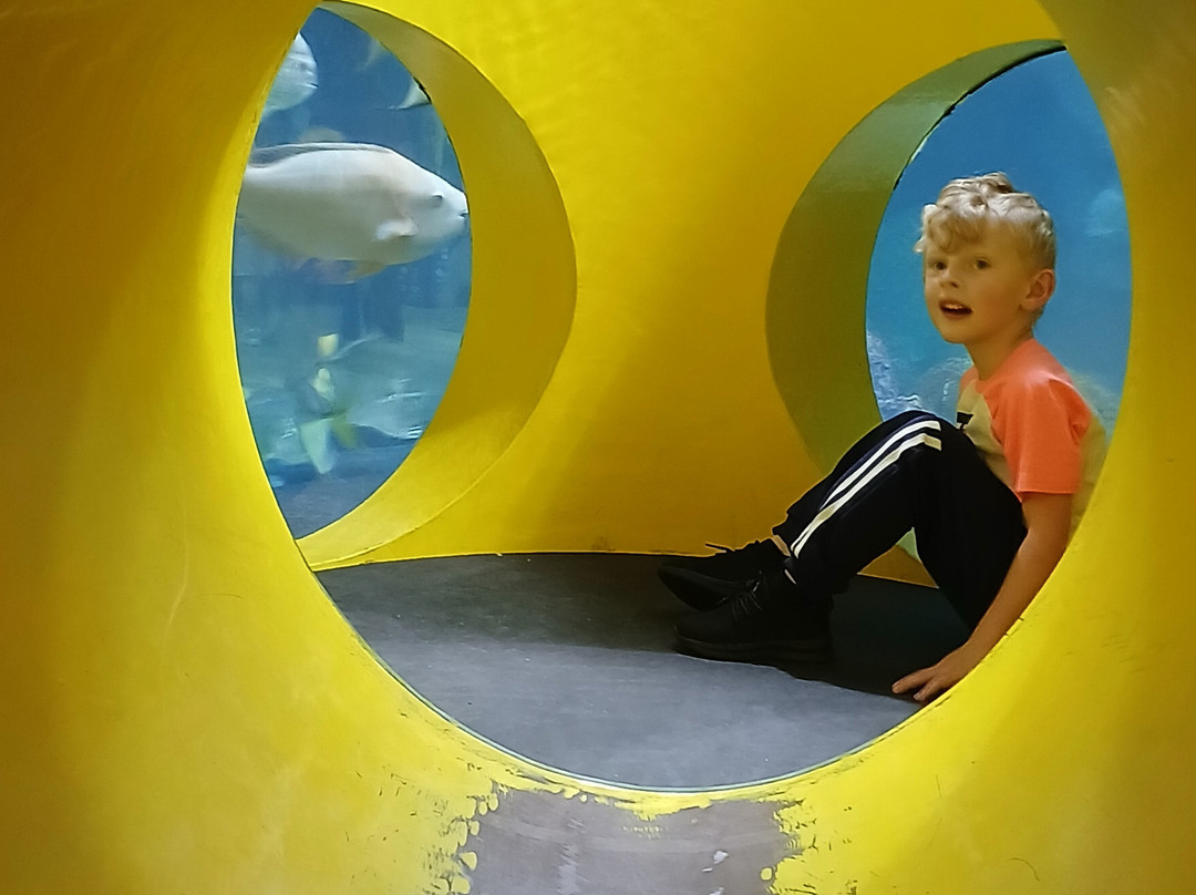 Oklahoma Aquarium-Jenks必去景点