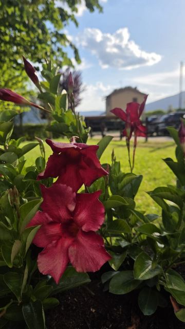B&B Fonte Vena-旅行者