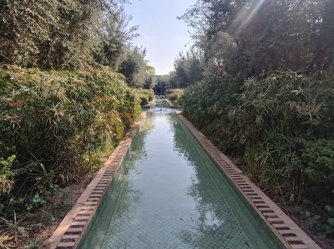 Club Med Marrakech la Palmeraie主图