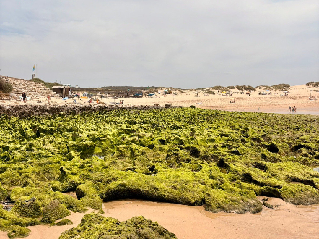 Praia Da Amoreira-Aljezur必去景点