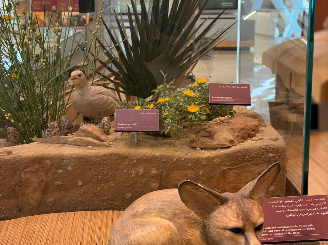 Al Ain Zoo 2017 2018 2019-艾因市必去景点