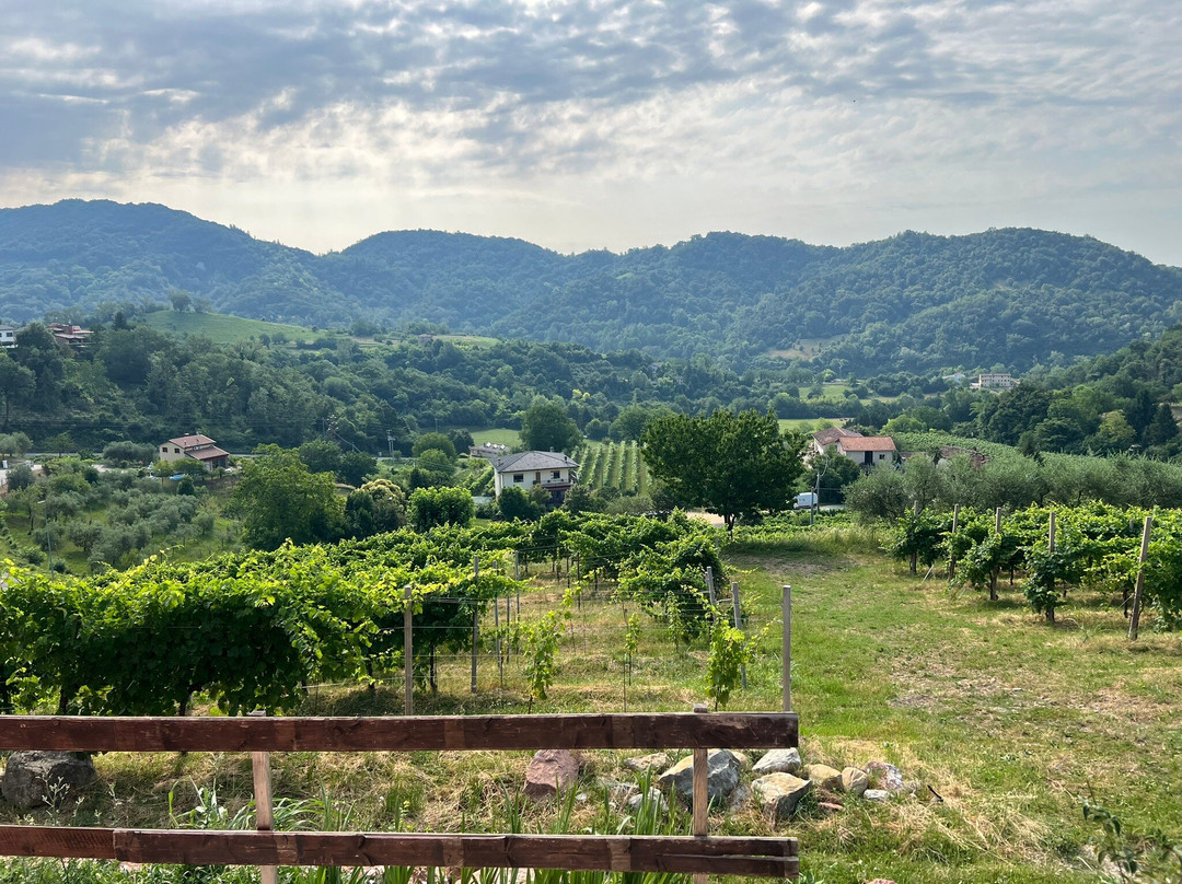 Ca'Perenzin