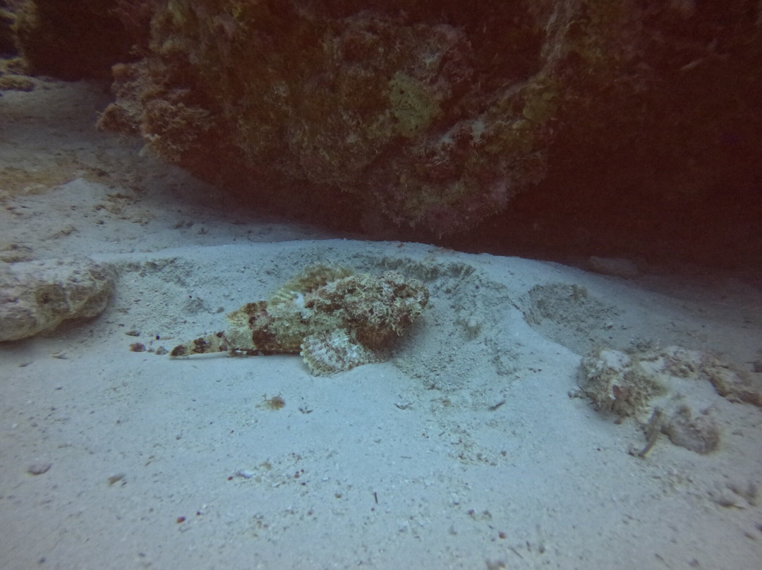Dive Center Lagun-Lagun必去景点