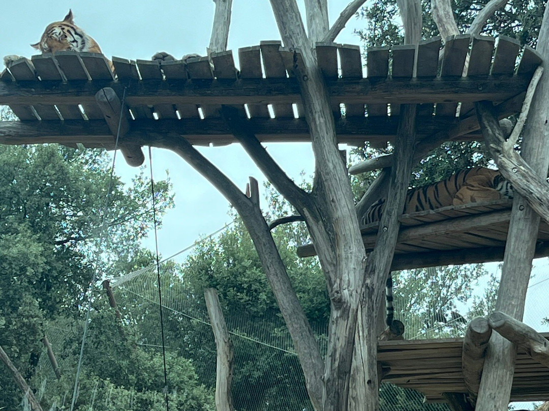 Zoo de La Palmyre-La Palmyre-Les Mathes必去景点