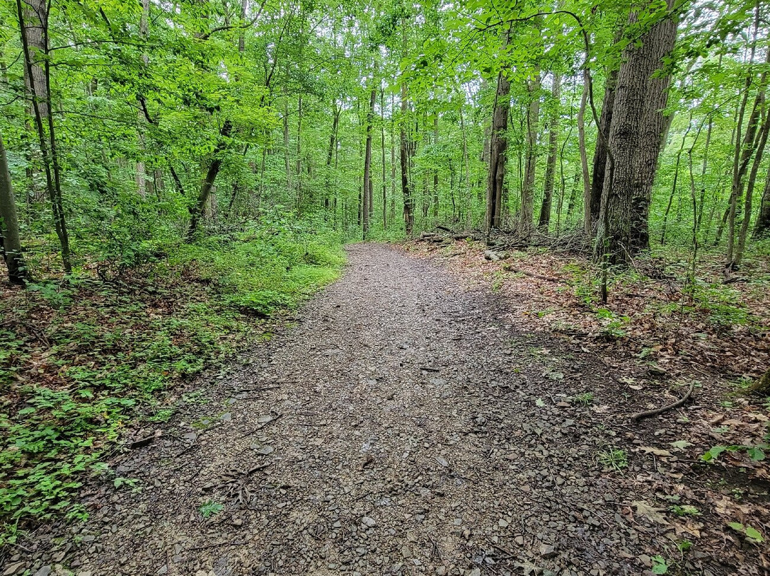 Ohiopyle State Park-Ohiopyle必去景点