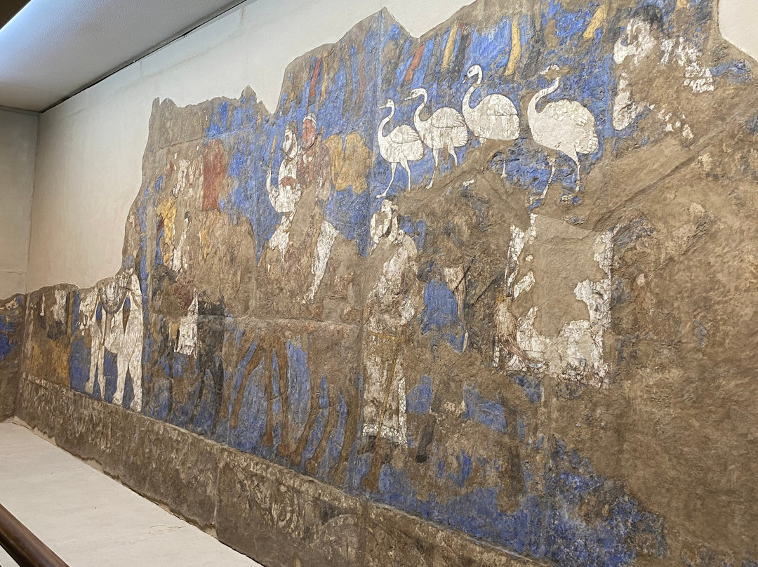Afrasiyab Museum-撒马尔罕必去景点