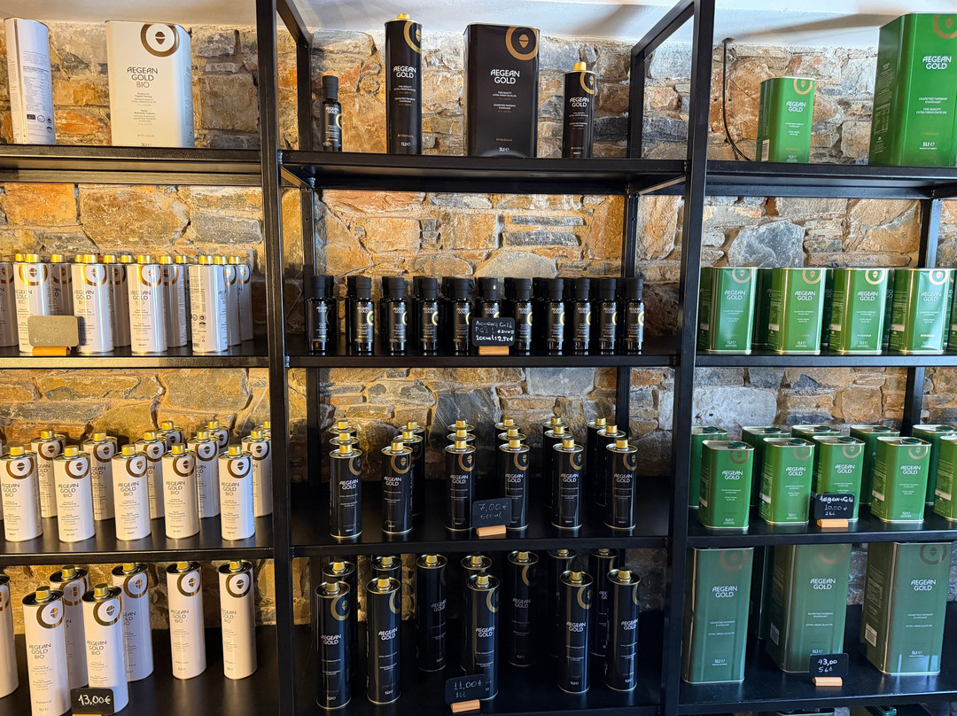 Protoulis Olive Mill & Museum