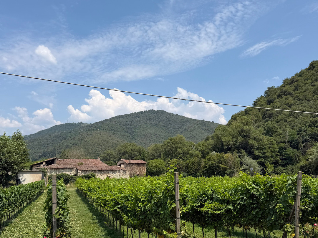 Mirabella Franciacorta-Rodengo Saiano必去景点