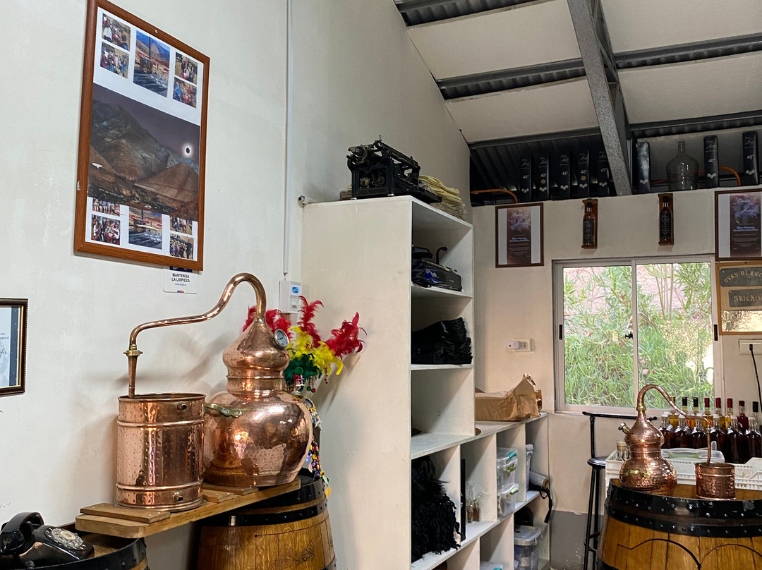 Doña Josefa de Elqui - Pisco Artesanal-Pisco Elqui必去景点