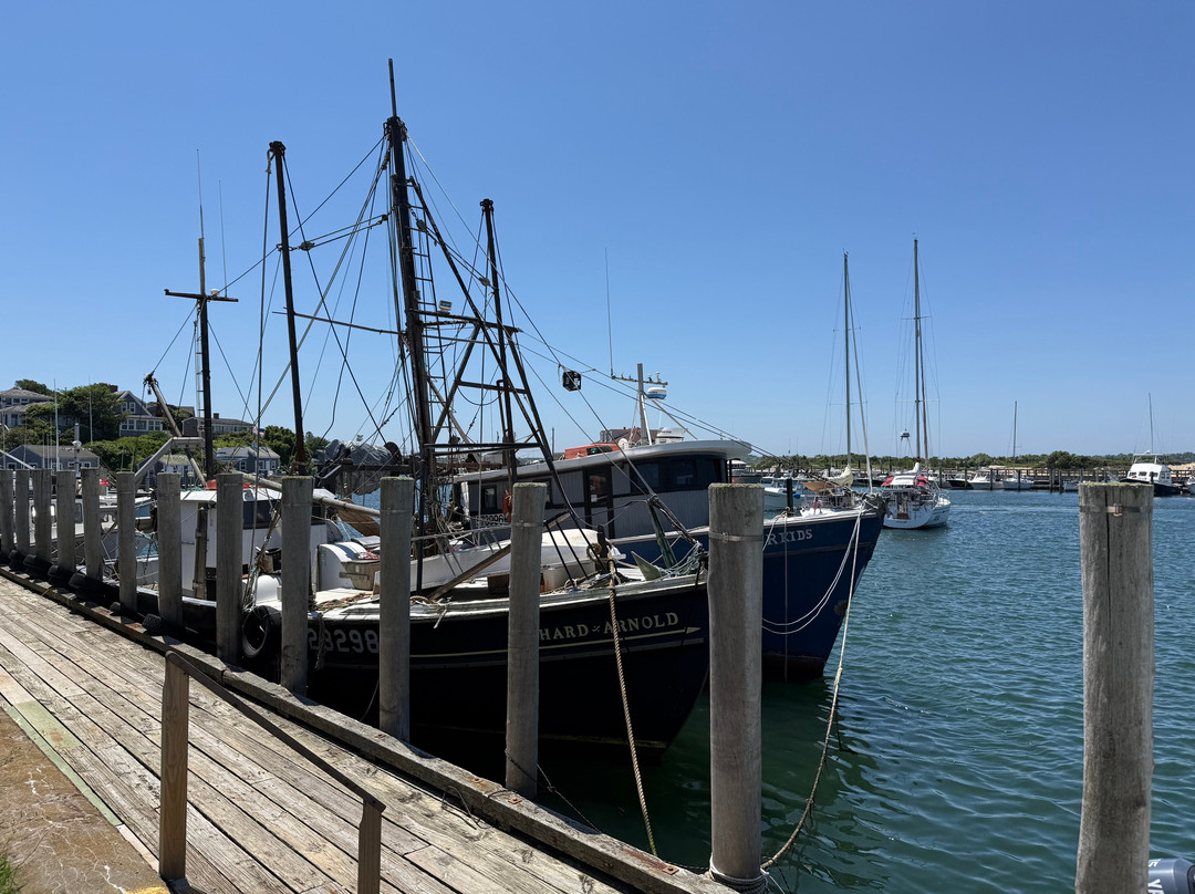 Martha's Vineyard Tours and Excursions-Vineyard Haven必去景点