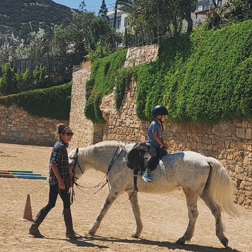 Equestrian Club of Cyclades-锡罗斯必去景点