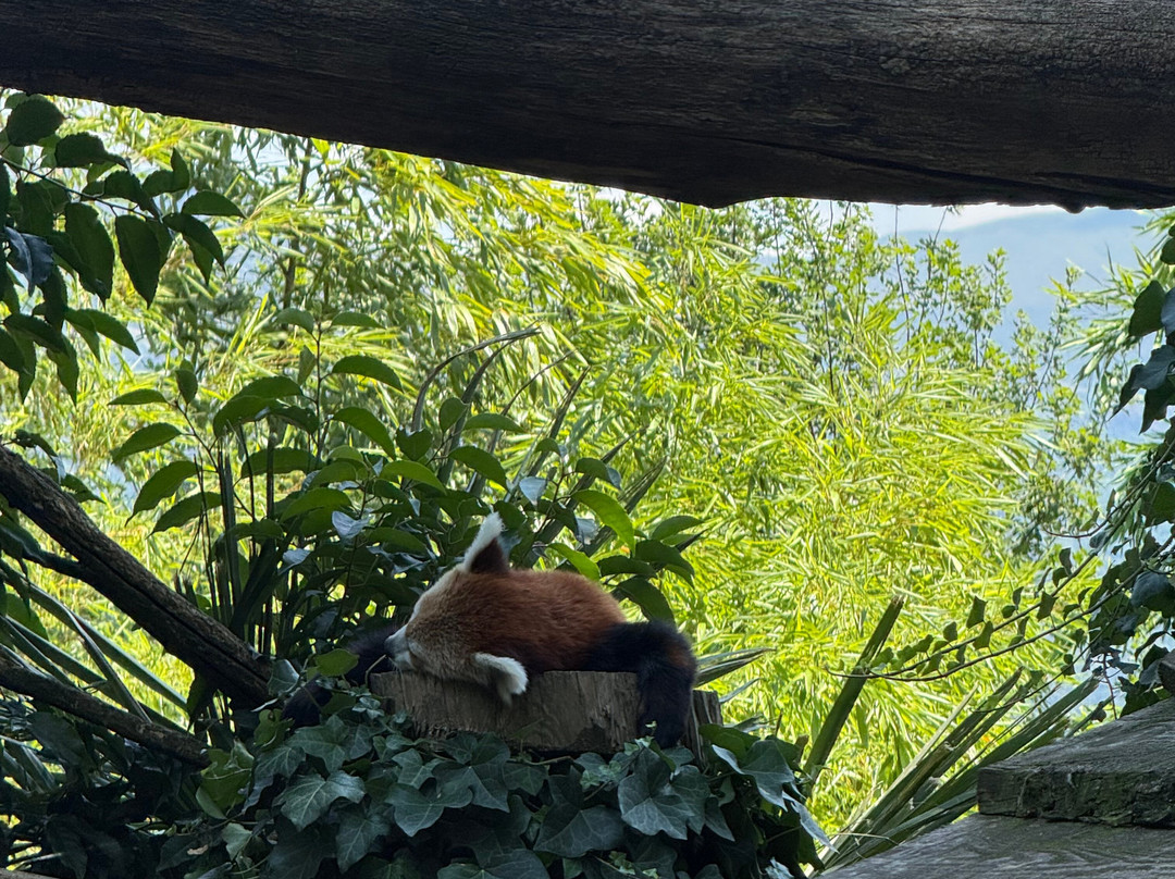 Parc Animalier Des Pyrénées-Ayzac-Ost必去景点