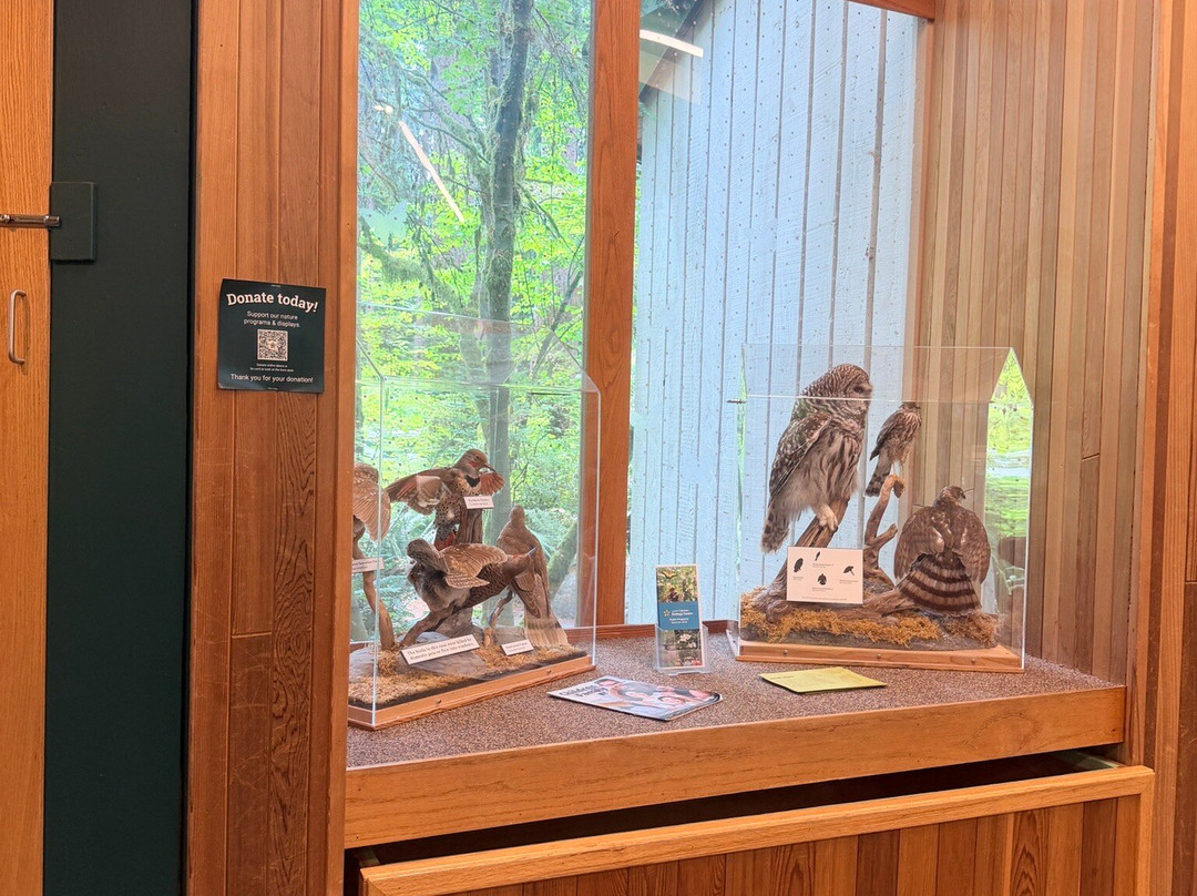 Lynn Canyon Ecology Centre-北温哥华必去景点