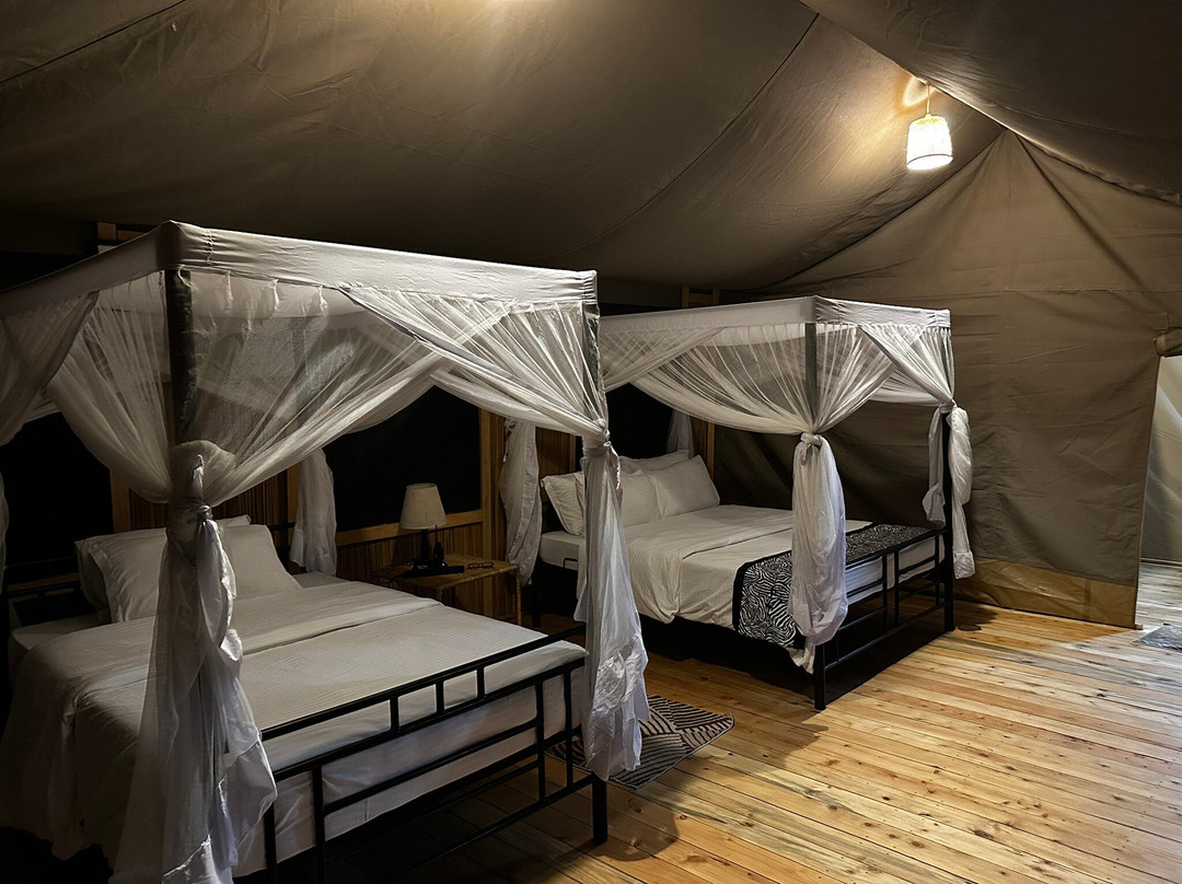 Sero Tented Camp-Seronera必去景点