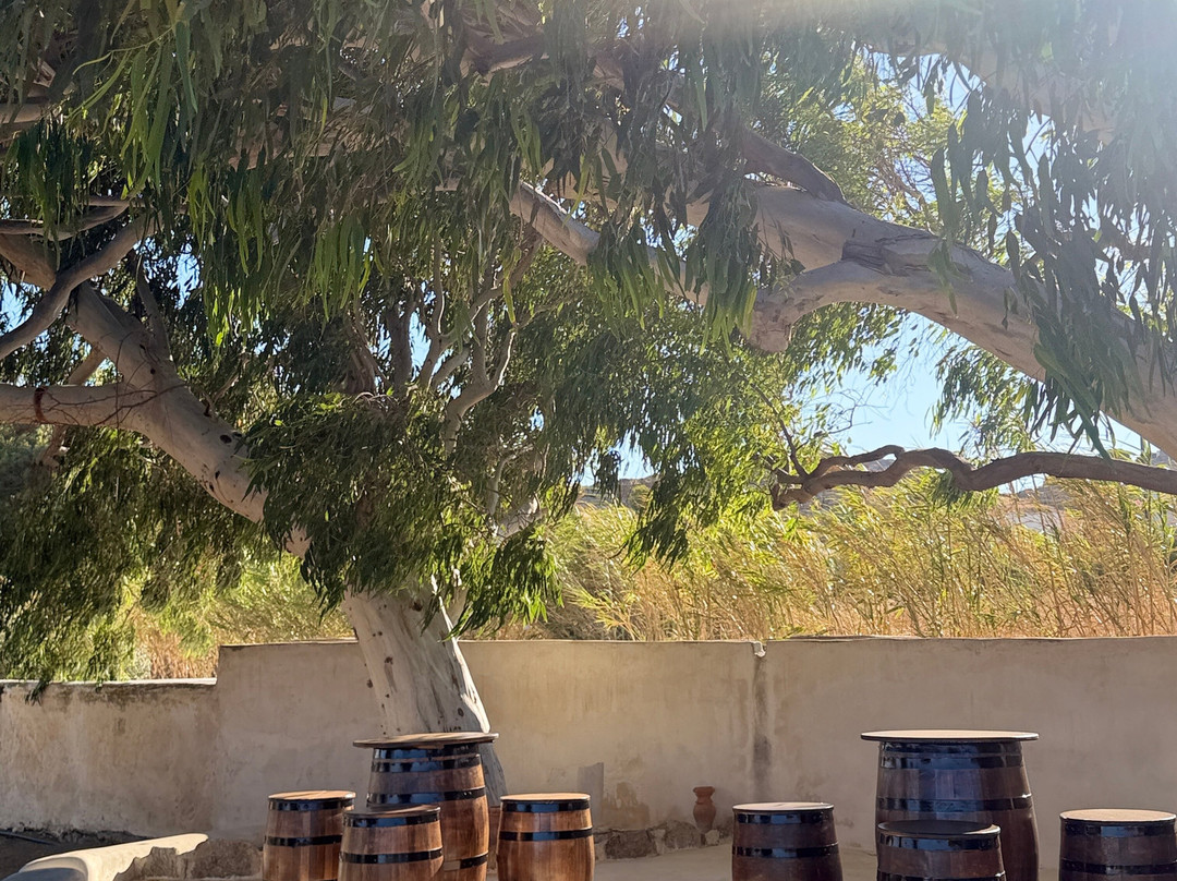 Tour In Mykonian Land & Wine Tasting-Marathi必去景点