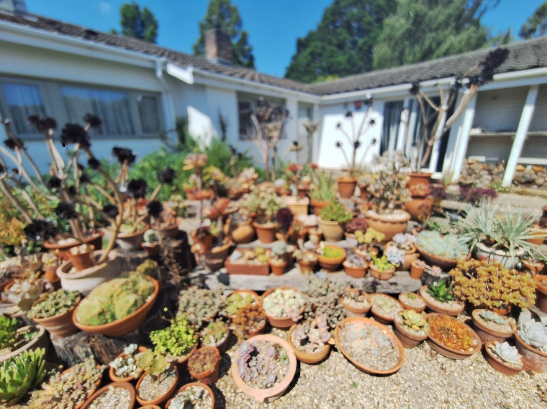 Beth Chatto's Plants & Gardens-科尔切斯特必去景点