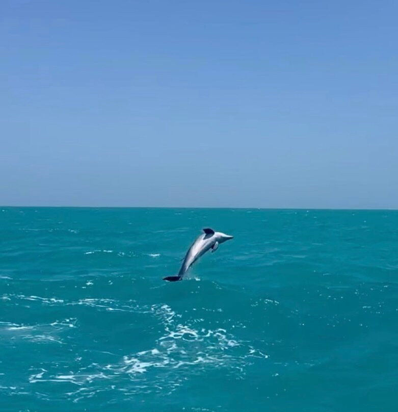 My Holbox Tours-Holbox必去景点