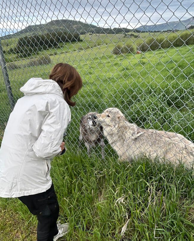 Howlers Inn Bed & Breakfast and Wolf Sanctuary主图