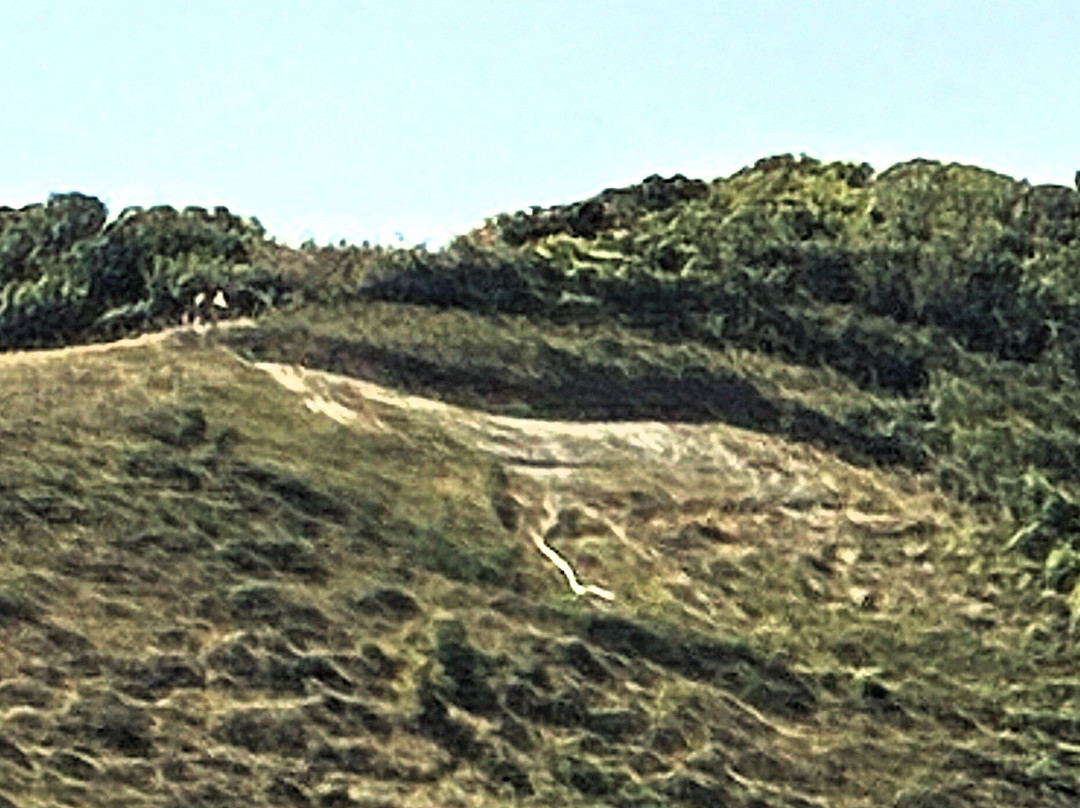 Litlington White Horse-西福德必去景点