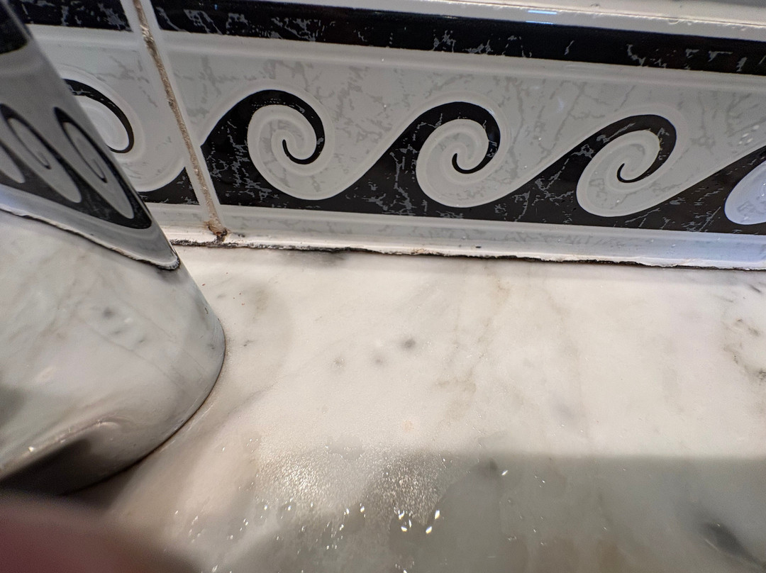 哈罗盖特雪松庭院酒店主图
