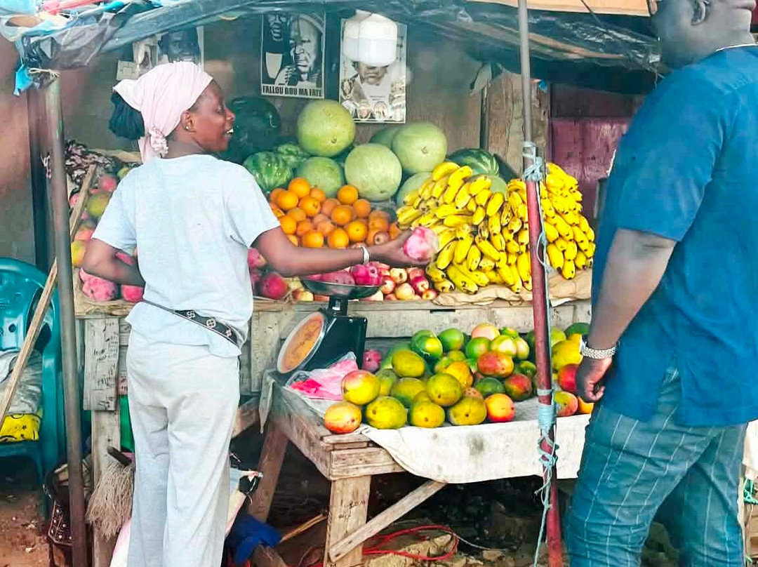 Happy Excursions Senegal-莫布瓦必去景点