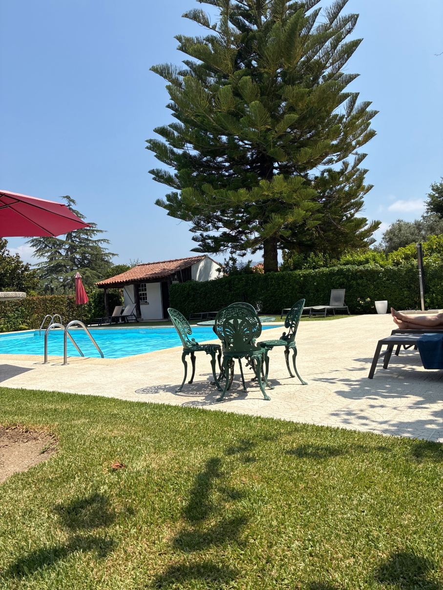 Quinta Dom Sapo - Agroturismo-泳池