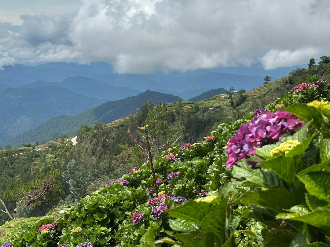 Northern Blossom Flower Farm-Atok必去景点