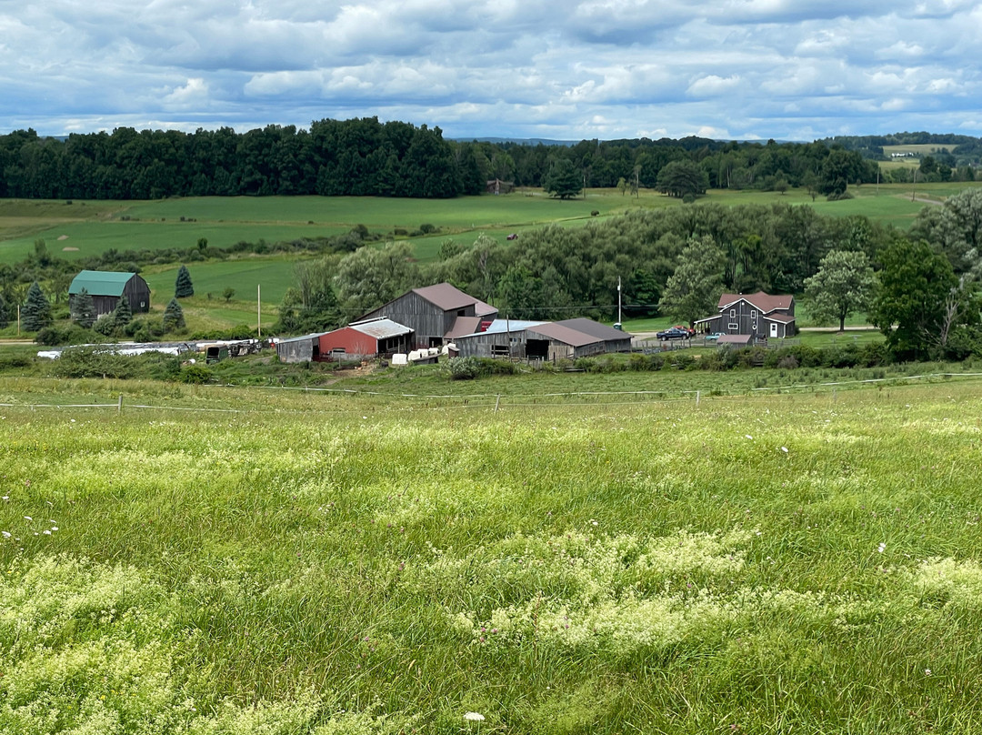 Tioga Trail Rides-Wellsboro必去景点
