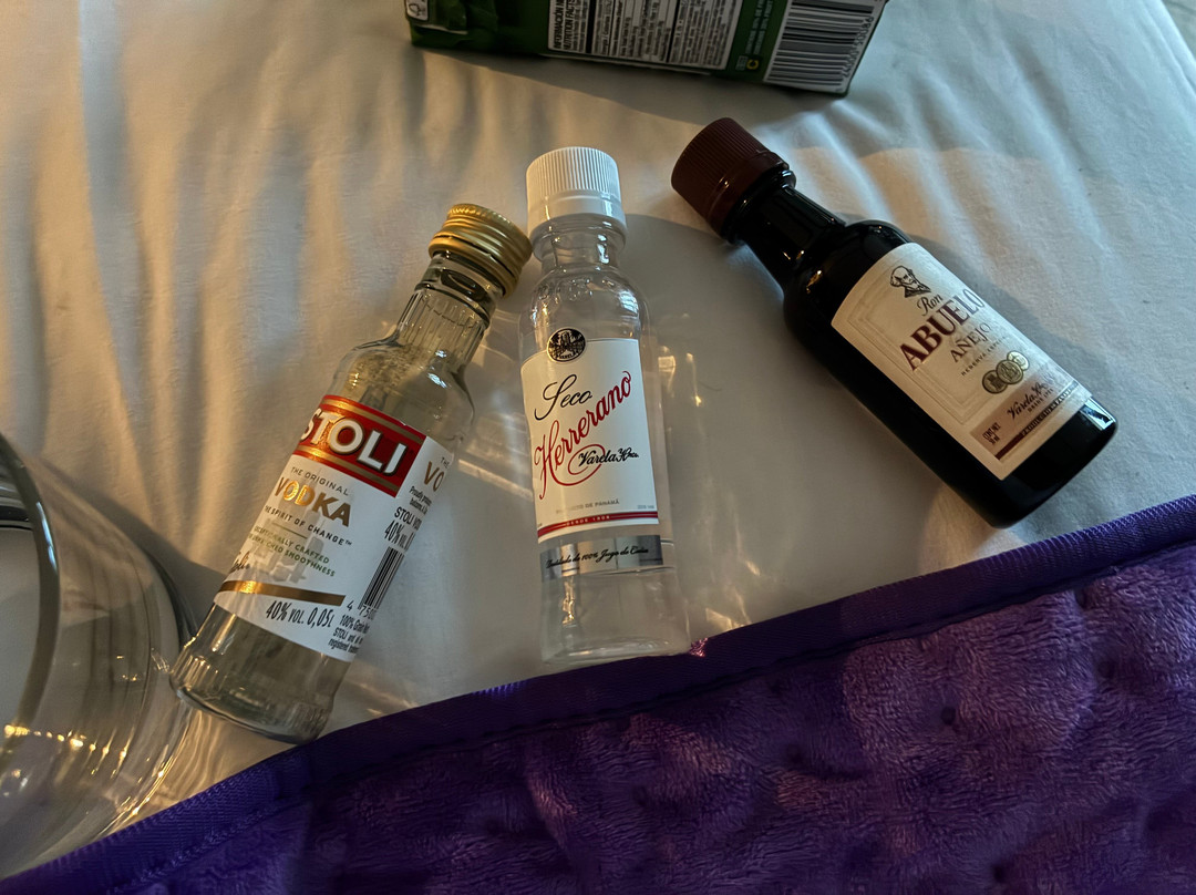 巴拿马梦想波尼塔海滩酒店 - 全包式主图