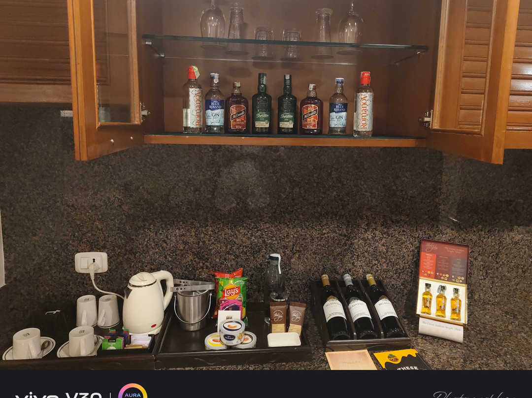 班加罗尔保罗酒店主图