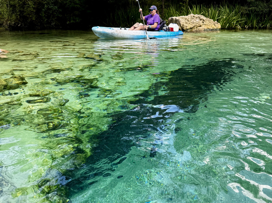 Econfina Canoe Livery-Youngstown必去景点