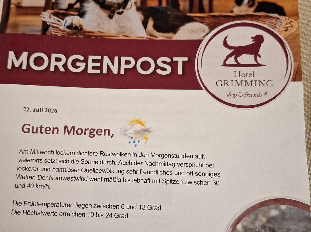 Hotel Grimming Dogs and Friends主图