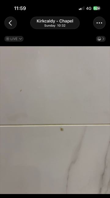 迪恩公园酒店-旅行者