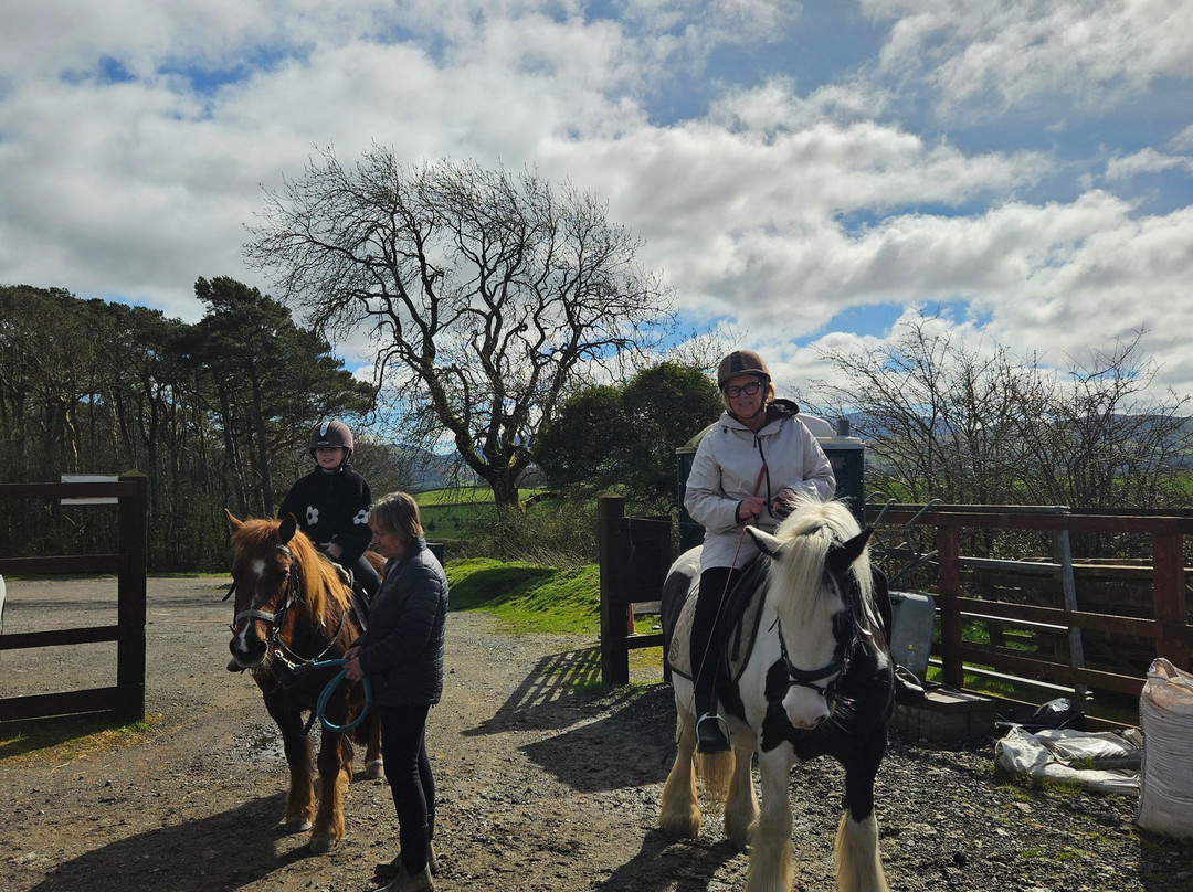 Parkers Riding School-Cockermouth必去景点