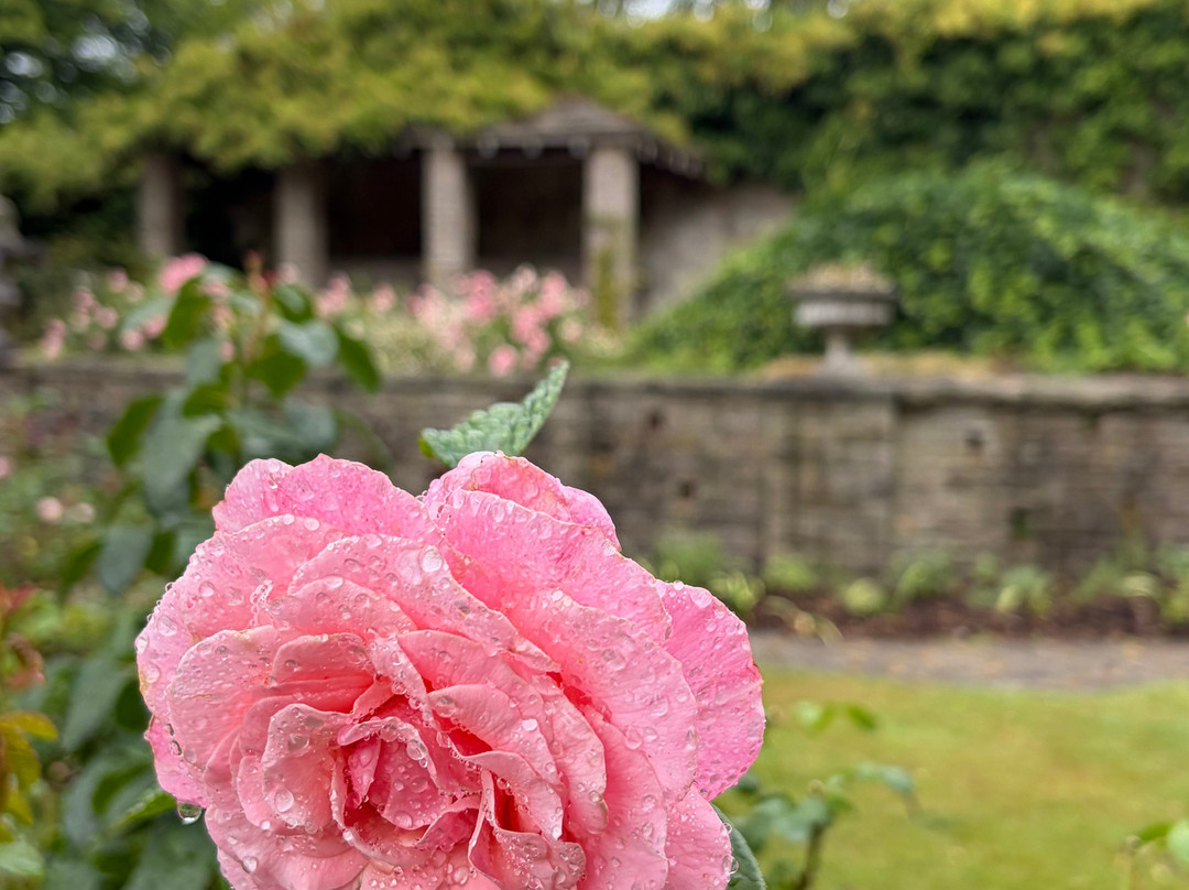 Lyme Park-迪斯利必去景点