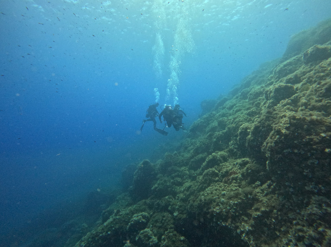 Bluelba Diving-厄尔巴岛必去景点