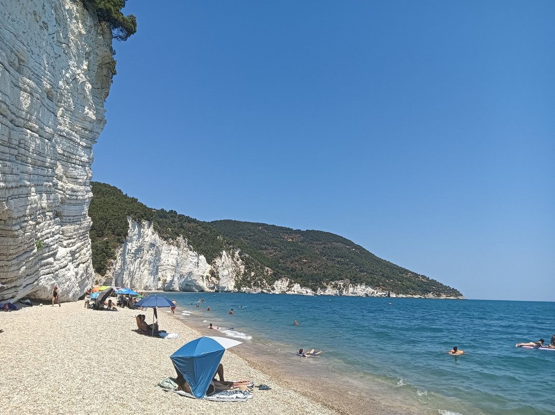 Spiaggia di Vignanotica-维耶斯泰必去景点