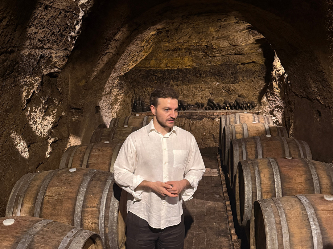 Cantine del Notaio-Rionero in Vulture必去景点