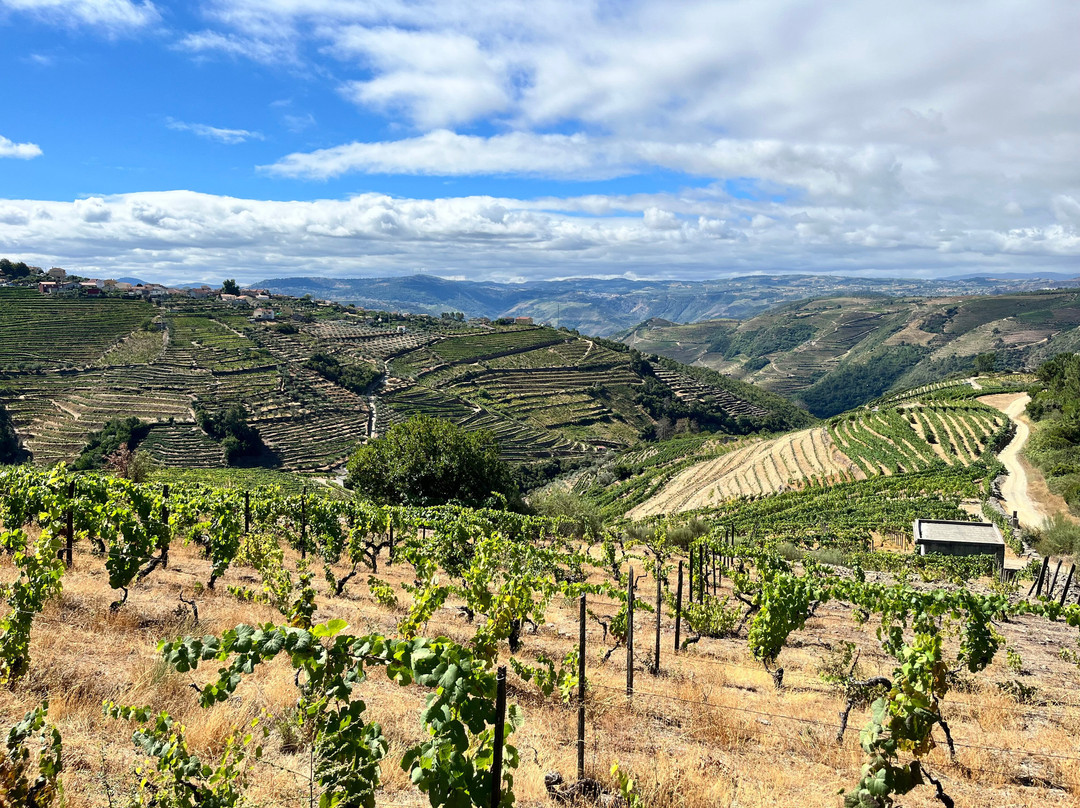 Quinta do Roncão-Vila Real必去景点