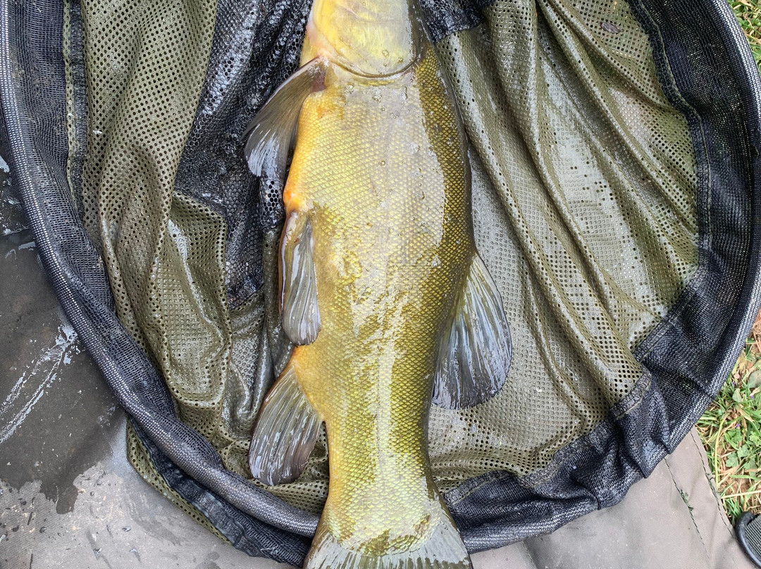 Docklow Pools-Docklow必去景点