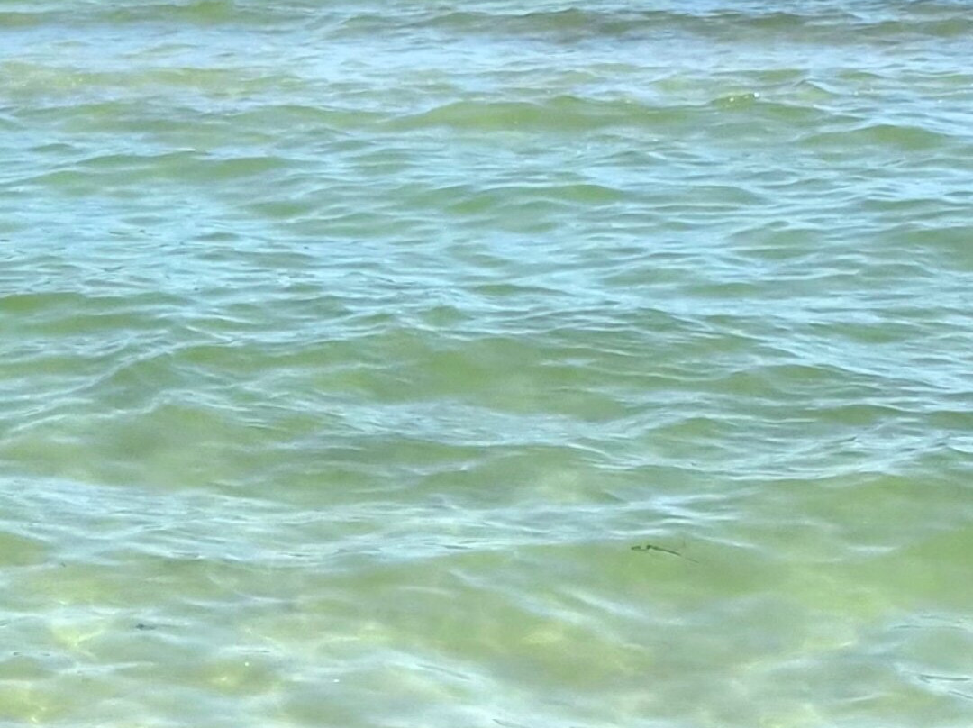 姆罗沙滩-穆罗海滩必去景点