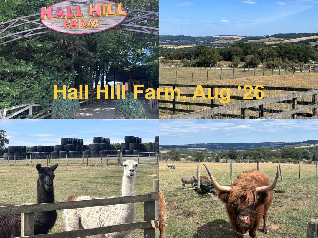 Hall Hill Farm-达勒姆必去景点